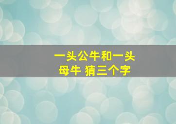 一头公牛和一头母牛 猜三个字